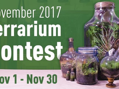 CLOSED | November 2017 Terrarium Contest!