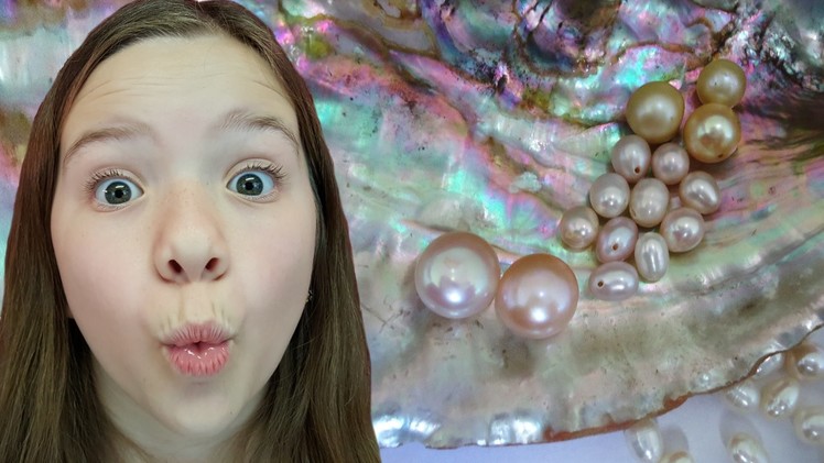 Finding pearls in oysters with Jillian & Addie of Babyteeth4