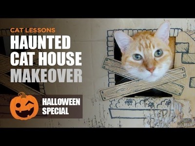 Halloween Haunted Cat House Makeover