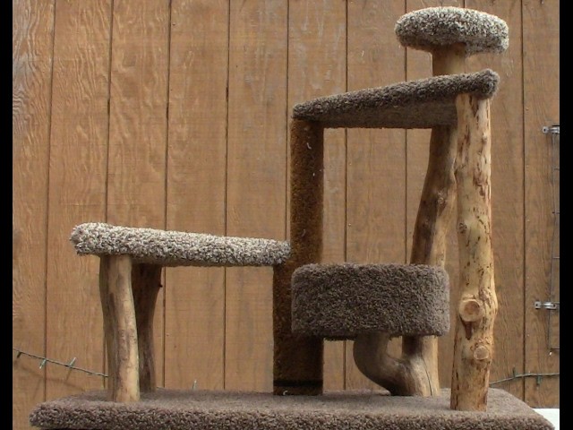How To Build A Cat Tree from Recycled Material