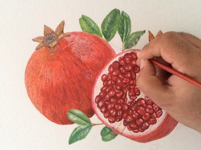 How to draw a pomegranate