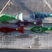 5 fish set fused glass bright colours.Hang anywhere bathroom, shed, outside consevatory etc. in fused glass, MADE TO ORDER