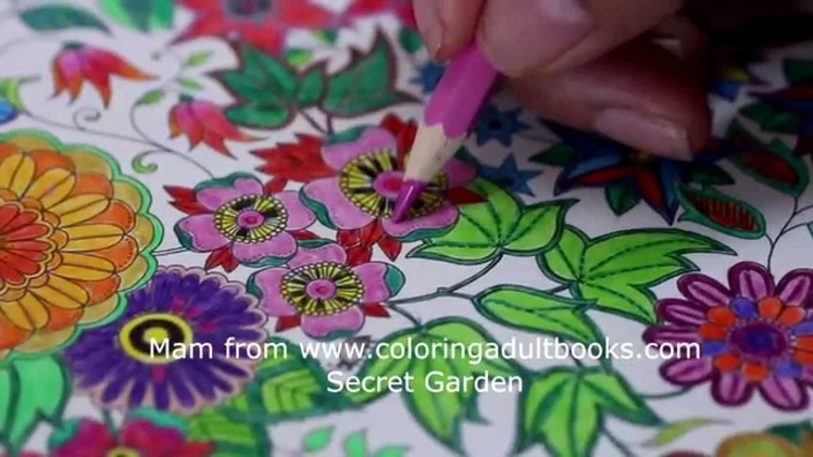 Coloring a page from the Secret Garden adult coloring book