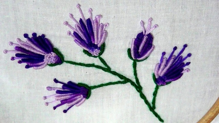 Hand Embroidery : Brazilian Embroidery
