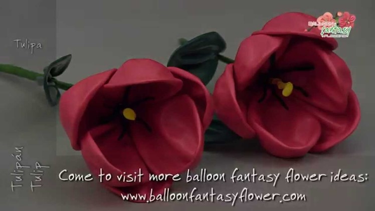 How to make Tulip balloon fantasy flower