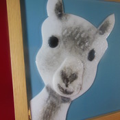 Llama/Alpaca made with fused glass,wood frame, Handmade. MADE TO ORDER