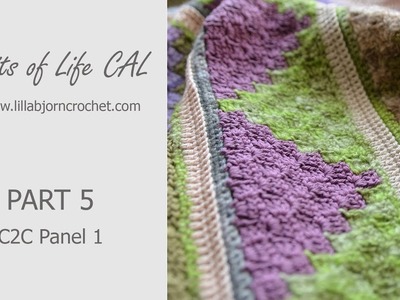 Spirits of Life CAL: Part 5_1 (corner-to-corner crochet again!)