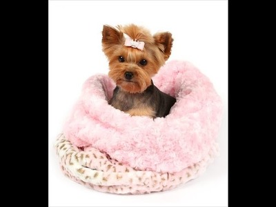 The Best Small Dog Bed