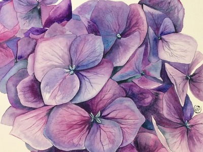 Watercolor Hydrangeas on COLD Pressed Painting Demonstration