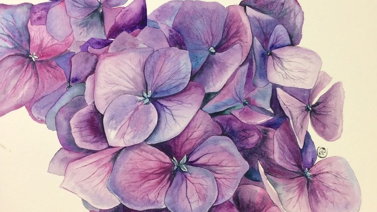 Watercolor Hydrangeas on COLD Pressed Painting Demonstration