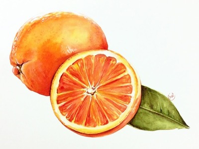 Watercolor Oranges Painting Demonstration