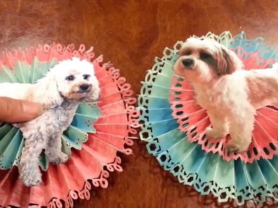 Day 28: Giant Paper Rosette Ornaments