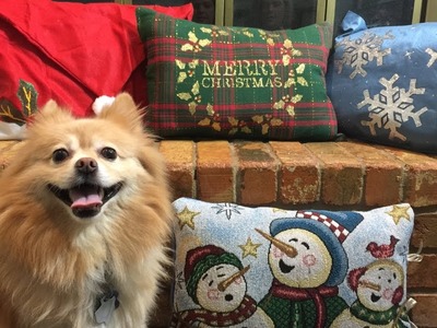 DIY $4 Dollar Tree Christmas Pillows