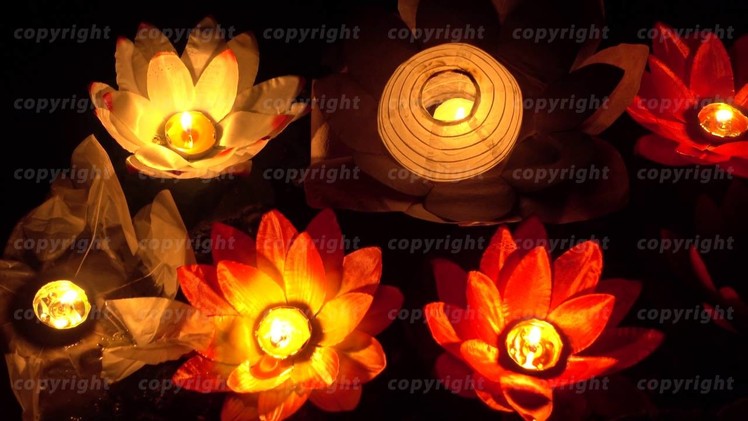 Floating Lotus Flower Paper Lanterns On Water