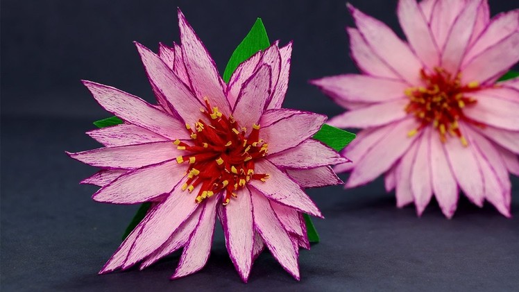 Paper Flowers - DIY Crepe Paper Water Lily Flower
