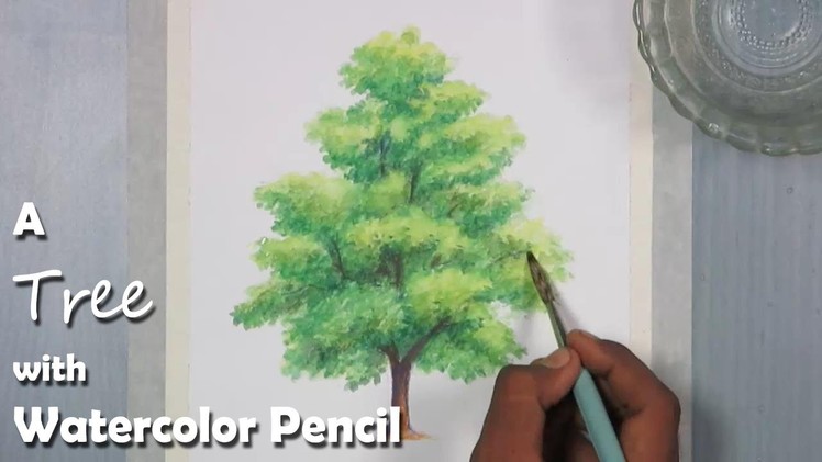 How to Paint A Tree with Watercolor Pencil