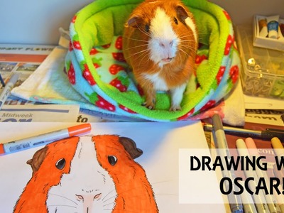 Drawing with my Guinea Pig!