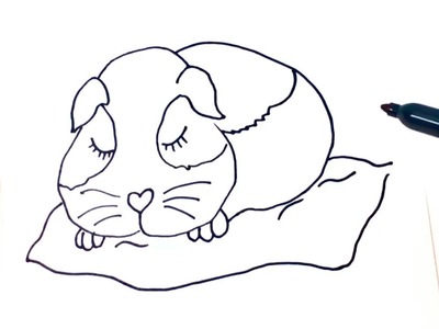 How to draw a Guinea pig Step by Step