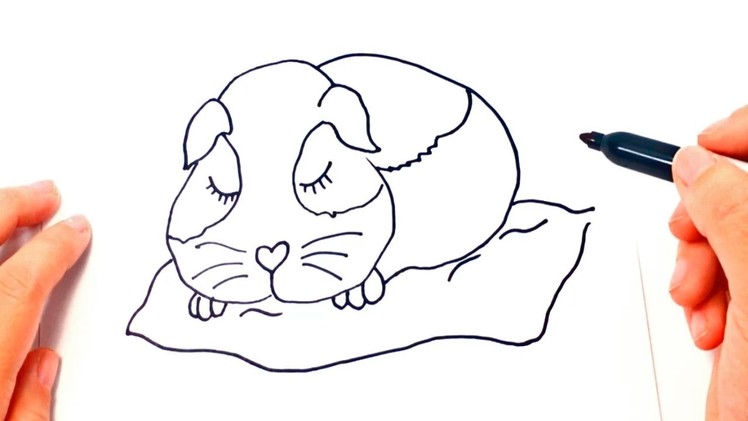 How to draw a Guinea pig Step by Step