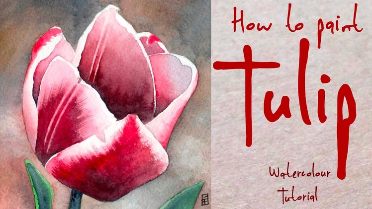 How to paint a Tulip flower - Watercolour Tutorial