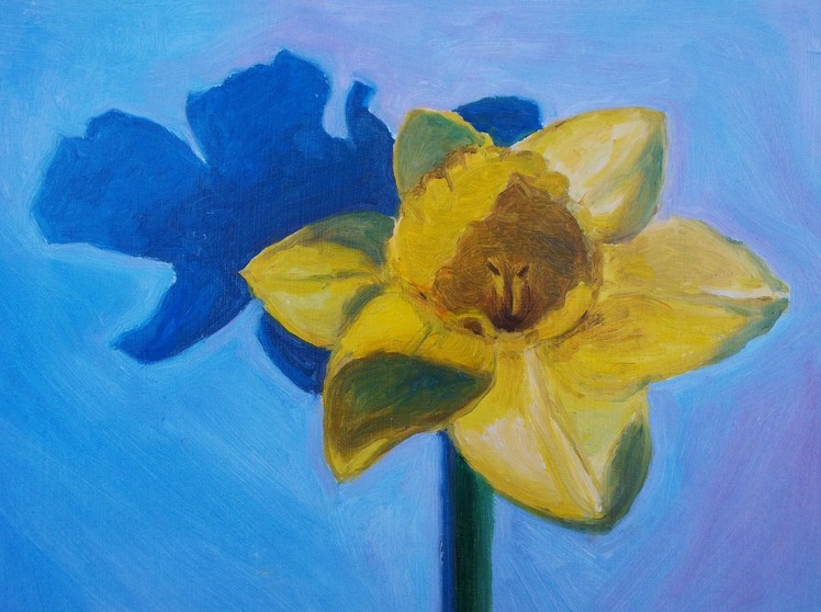 Oil Painting of a Daffodil in Alla Prima Technique in Twenty Minutes Speed Painting in Oil