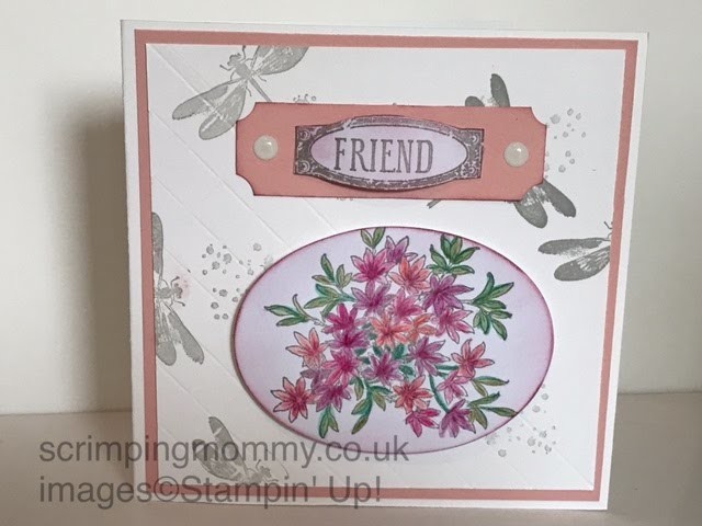 One stamp set card.  Awesomely artistic Stampin' Up! products