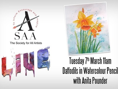 SAA LIVE - Daffodils in Watercolour Pencil with Anita Pounder
