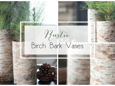 Rustic Birch Bark Vases