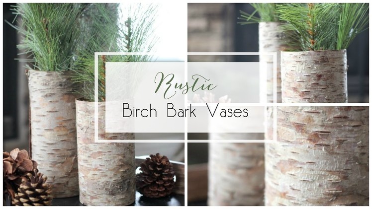 Rustic Birch Bark Vases