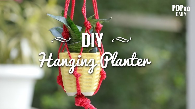 DIY Hanging Planter - POPxo