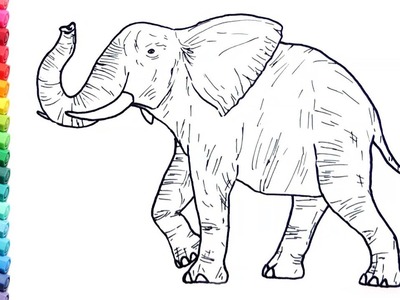 Drawing And Coloring a Elephant - Wild Animals Color Pages For Childrens