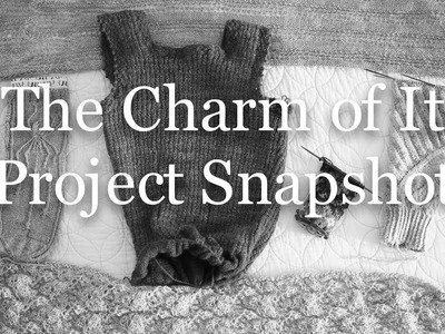The Charm of It Episode 56: Project Snapshot of October 17th