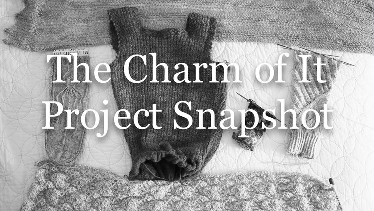 The Charm of It Episode 56: Project Snapshot of October 17th