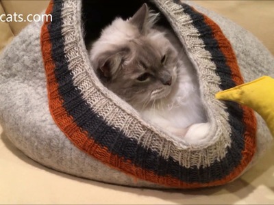 Cat Cave Large: Meowfia Felted Wool Cat Cave with Cable Knitting Product Review Video