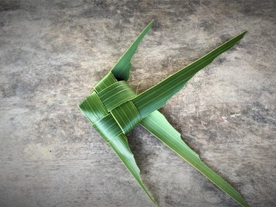 How To Make Fish By Coconut Leaves | Khmer Traditional