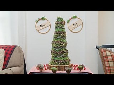 How to Make a Succulent Christmas Tree - Way to Grow - HGTV