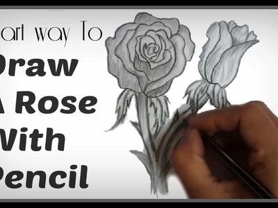Easy Pencil Shading Drawings: Watch How To Draw A Rose Step By Step With Pencil (Smart-Way)
