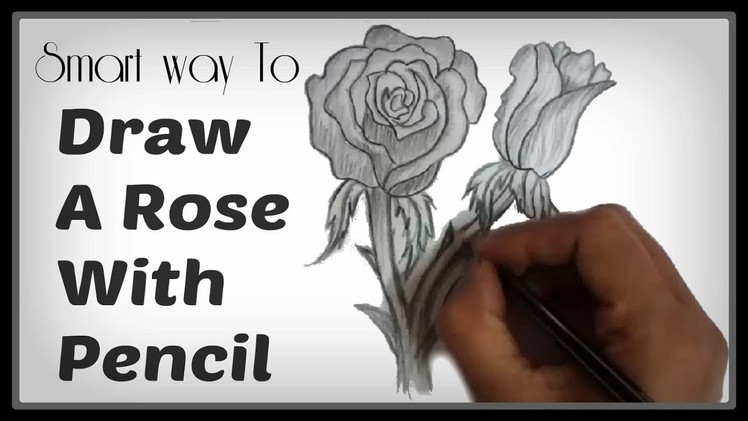 Easy Pencil Shading Drawings: Watch How To Draw A Rose Step By Step With Pencil (Smart-Way)