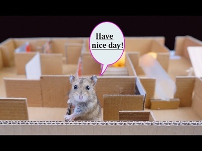 How to Make Build Labyrinth for Hamster from cardboard - Diy Maze for Rat [Mr H2]