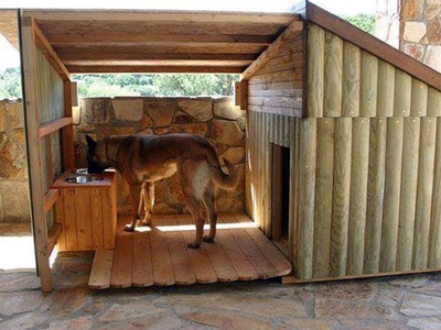 Awesome Dog House DIY Ideas Indoor Outdoor Design PHOTOS