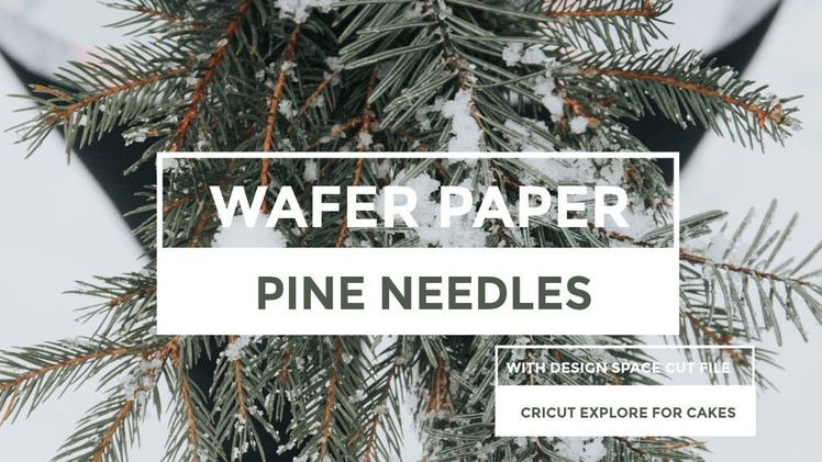 Wafer Paper Pine Needles with Design Space Cut File