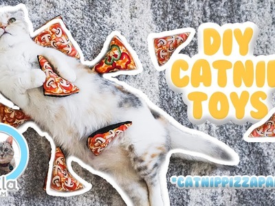 DIY CAT TOYS | Catnip Pizza Party for Cats!