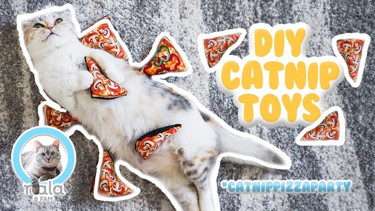 DIY CAT TOYS | Catnip Pizza Party for Cats!