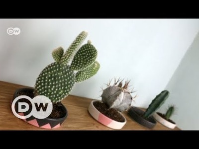 DIY: Flowerpots in wooden shelves | DW English