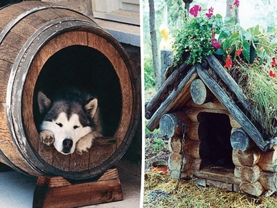 Free DIY Dog House Plans & Ideas for Your Furry Friend