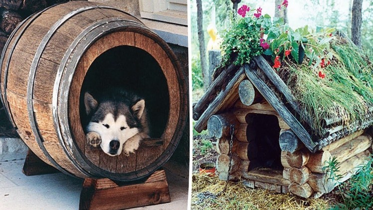 Free DIY Dog House Plans & Ideas for Your Furry Friend