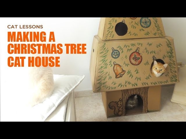 How to Make a Christmas Tree Cat House
