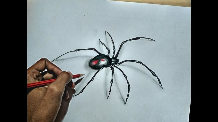 3d spider Drawing || amazing drawing || by prashant pc