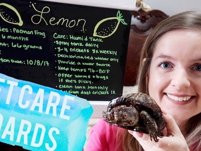 DIY Chalk Care Boards For Sale | Koa The Box Turtle Update & Chit Chat