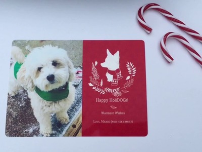 DIY Pet Holiday Cards